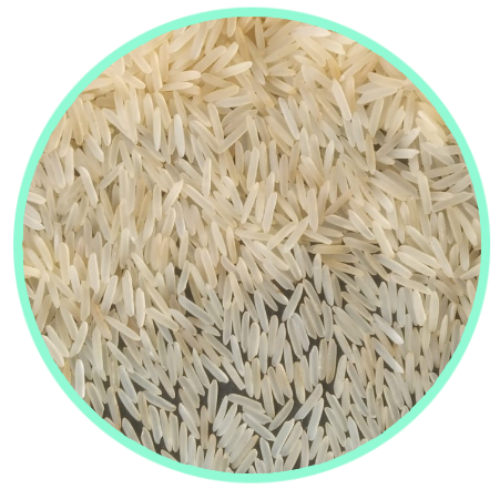 1509 Golden Sella Basmati Rice